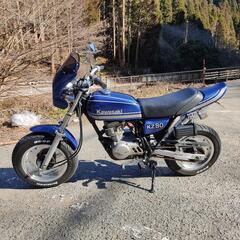 エイプ 88cc 武川  Z-Ⅱカスタム 実働 自賠責とオマケ付き