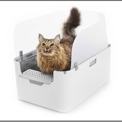 猫のトイレ
