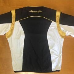 ミズノプロ Mizuno Pro 半袖Vジャンの画像