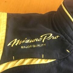 ミズノプロ Mizuno Pro 半袖Vジャンの画像