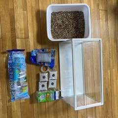 水槽（アクリル）と飼育用グッズ