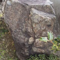 庭石 あるだけ何個でも　取れているのもあり　 お好きにお持ちくださいの画像