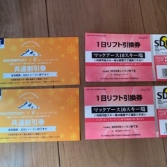 マックアース　リフト1日券