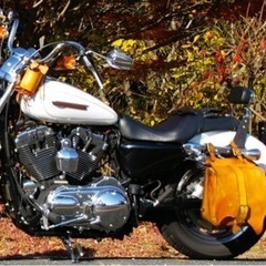 【取引成立】バイク用　サイドバッグ&ドリンクホルダーの画像