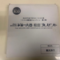 ⭐️【本日13時まで】ジミー大西さんデザイン皿