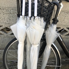 無料⭐︎ビニール傘を六本