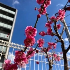 本日17時代々木公園で