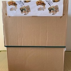 五月兜　五月人形　かぶとの画像