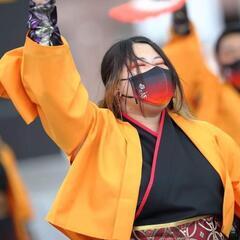 YOSAKOI始めませんか(⌒‐⌒)🕺？