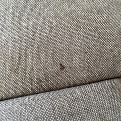 2人掛けソファーの画像