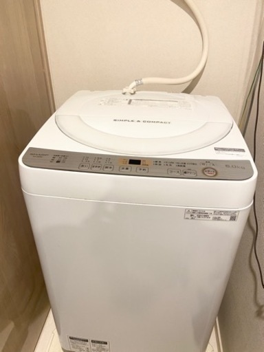 2019年製SHARP 6.0kg洗濯機