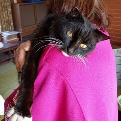 可愛い「だいず君」素敵なご家族の一員になりました🤗