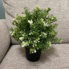 IKEA フェイクグリーン