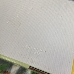 tanemki English 家庭保育の画像