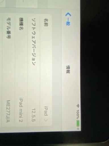 iPad mini2 32GB Wi-Fi  グレー　(A1489)