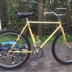 ブルーラグ系バイクのグラベルライダー募集！