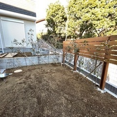 レッドロビン