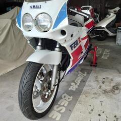 FZR250R