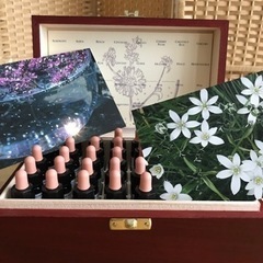 バッチフラワー花療法初級クラス