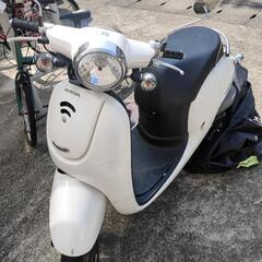 原付 HONDA ホンダ ジョルノ