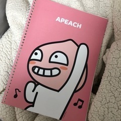 kakao apeach 無線ノート