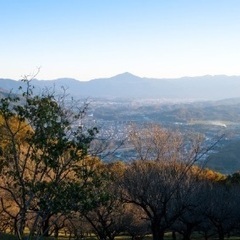 ⛰4月16日⛰ 宝登山トレッキング メンバー絶賛募集中！！