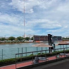ボートレース江戸川 戸田 平和島 多摩川 - メンバー募集