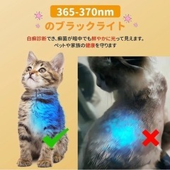 【新品未使用】ペット用バリカン 電動 犬 猫 バリカン LEDライト搭載 ブラックライト 部分用バリカン 足裏 耳裏 顔回り お尻 2段階スピード調整 改良ペットバリカンUSB充電式 自宅トリミング用 初心者向け 切れ味 小型 軽量 部分カット ホワイト の画像