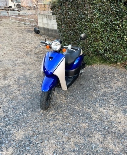 177. 動画あり　ホンダ　AF67トゥデイ　原付　バイク　50cc   車体