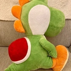 ヨッシー　決まりましたの画像