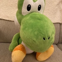 ヨッシー　決まりましたの画像
