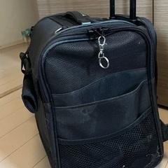 ペットキャリーの画像