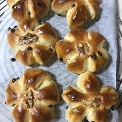 パン教室やります♪♪の画像