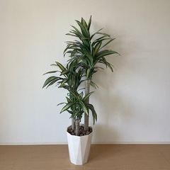 観葉植物　インテリア（造花）