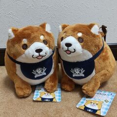 [残り１つ][鼻セレブ付き] 忠犬もちしばのポケットティッシュマ...