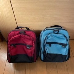 LLBean ミニリュック型保冷バッグ
