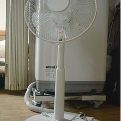 ニトリ扇風機　譲ります