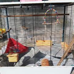 動物のゲージ  