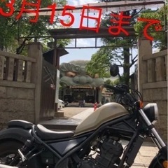 HONDA レブル250バイク本体250cアメリカン