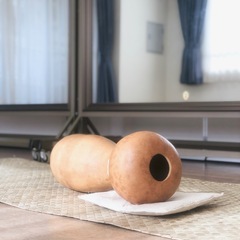 【逗子】シニア向け エンジョイフラ お仲間募集 体験レッスン無料の画像