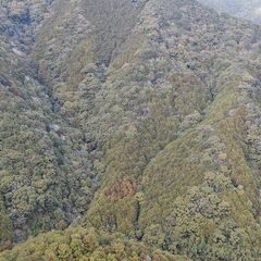【成約済】山林物件 三重県北牟婁郡紀北町