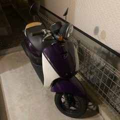 原付 TODAY (最初間違えてDioって書いてましたごめんなさい)