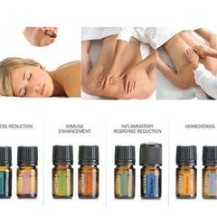 【4/16AM、30AM、聖蹟桜ヶ丘開催】“一家に一人セラピスト...