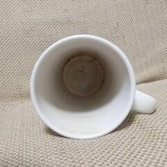 スターバックス Starbucks マグカップの画像