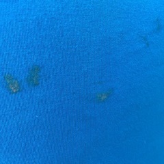 ヨギボー　ヨギボーマックスの画像