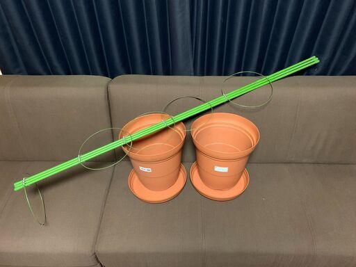 植木鉢2つとつる植物用支柱1つのセット