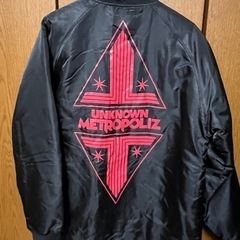 三代目 J Soul Brothers ダウンジャケットの画像