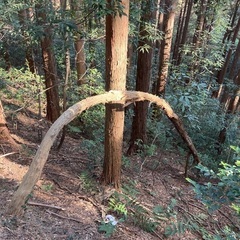 初心者山登り関東低山 - メンバー募集