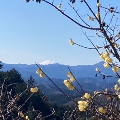 初心者山登り関東低山 - 友達