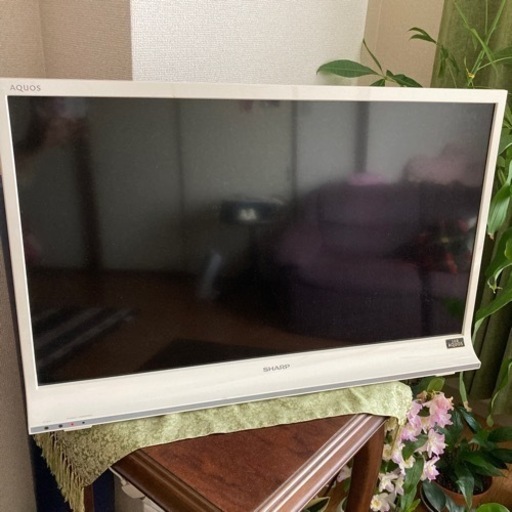 テレビ